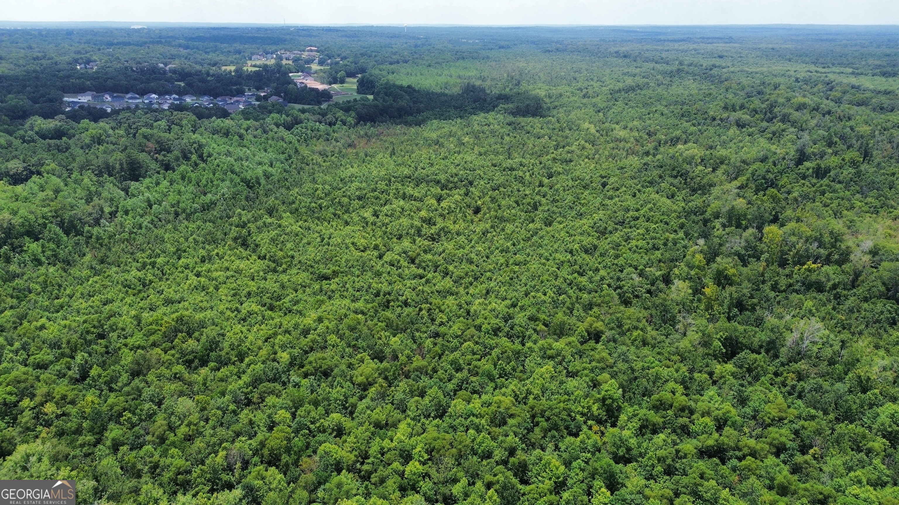 0 Houston Road Macon, GA 31216 - Photo 11 of 19 a view of a lush green forest with trees and houses