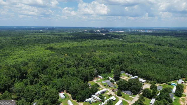 a view of a lush green forest