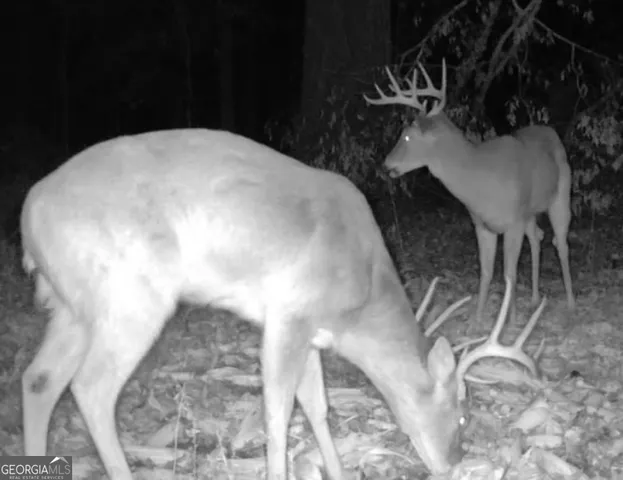 $240,840 | 0 Houston Road, Macon, GA 31216