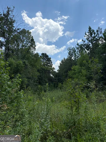 a view of a lush green space