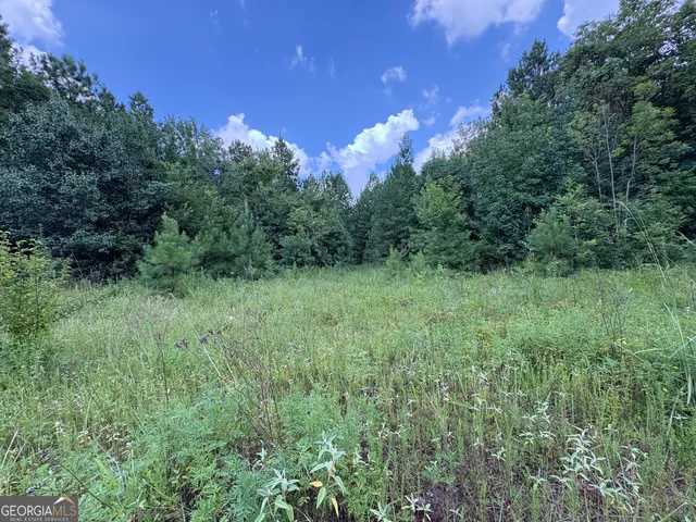 a view of a lush green space