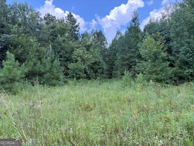 a view of a lush green forest with trees and some houses