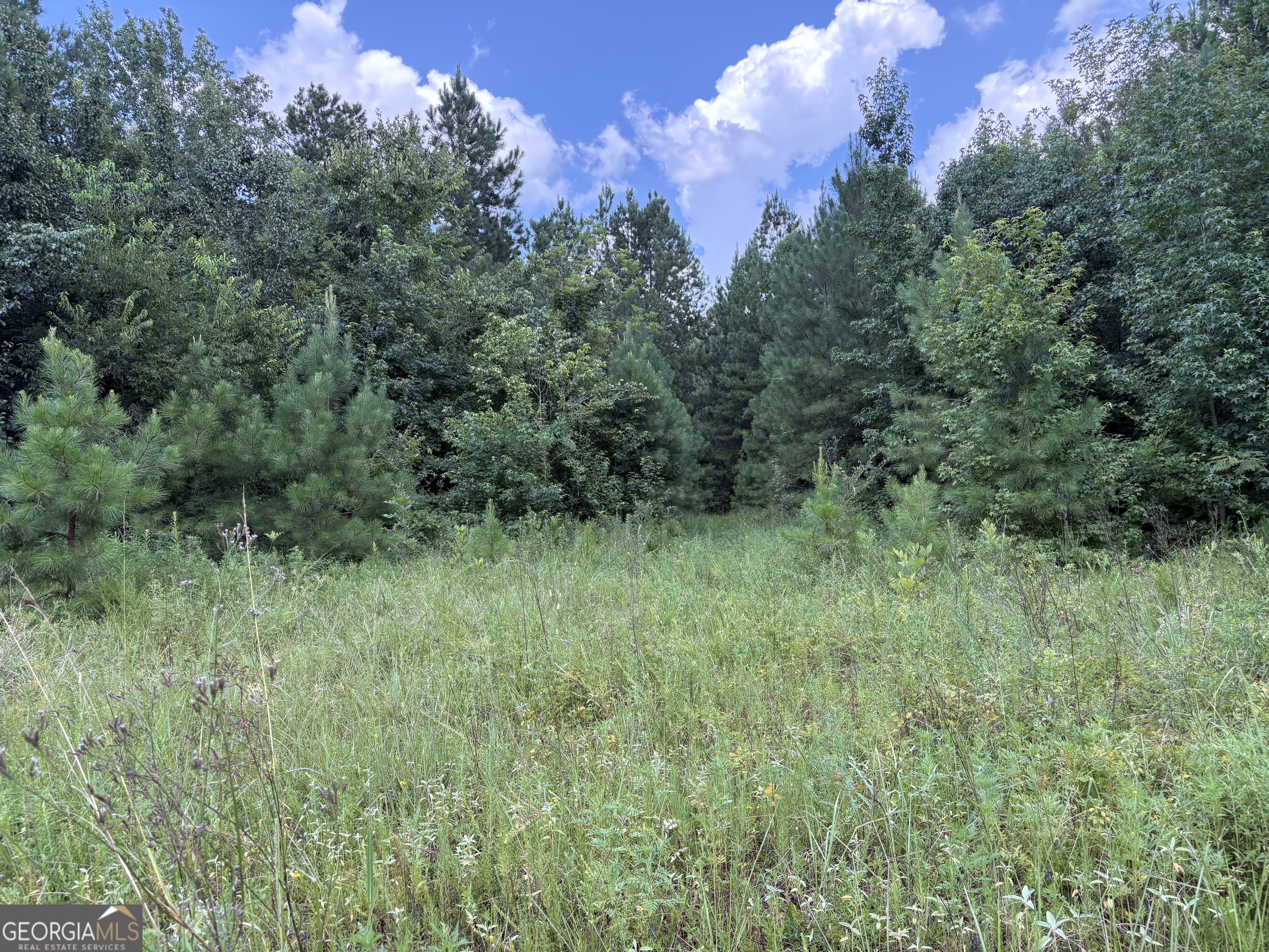 0 Houston Road Macon, GA 31216 - Photo 5 of 19 a view of a lush green space