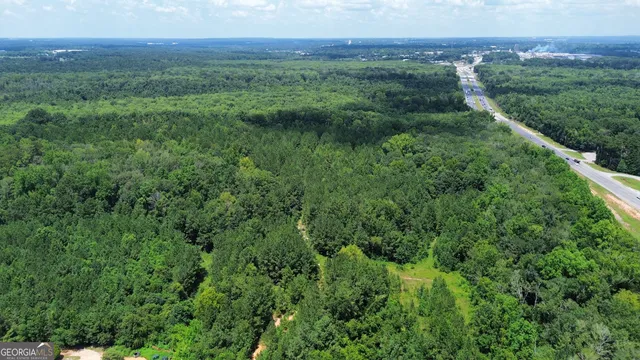 a view of a lush green forest with trees in the background