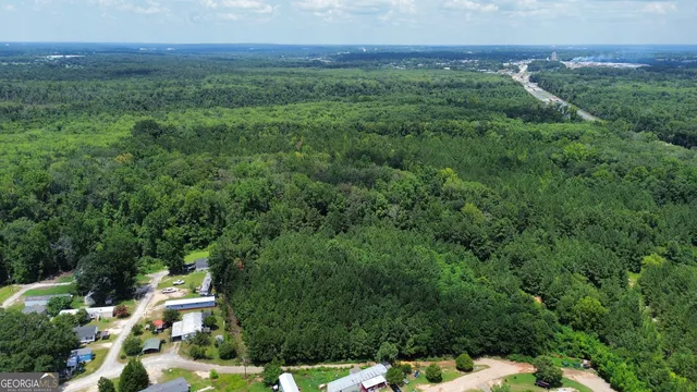 a view of a lush green forest with trees and some houses