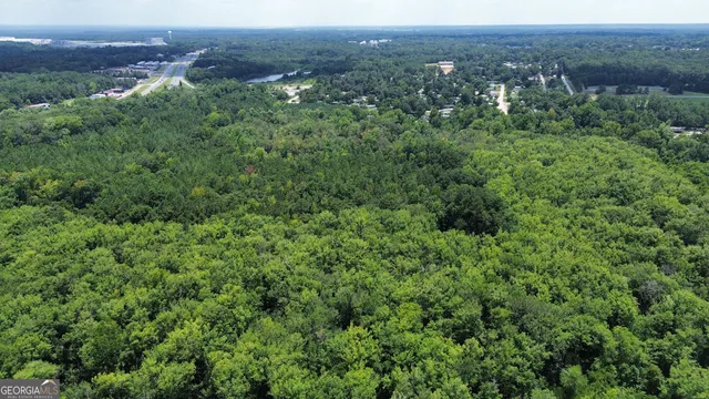 a view of a lush green forest with trees and houses