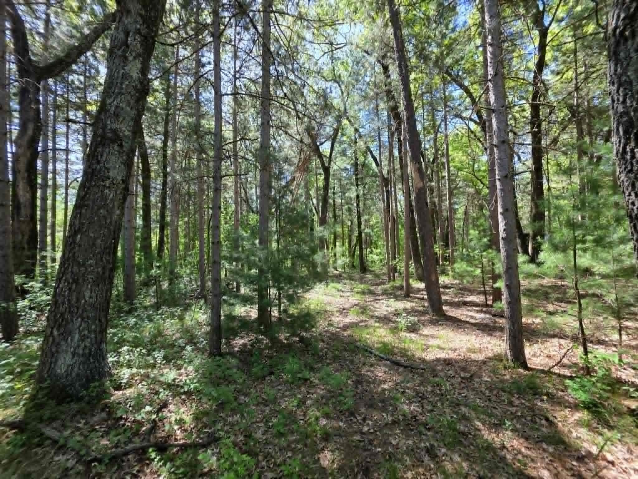 Lot 4 Czech Friendship, WI 53934 - Photo 7 of 7