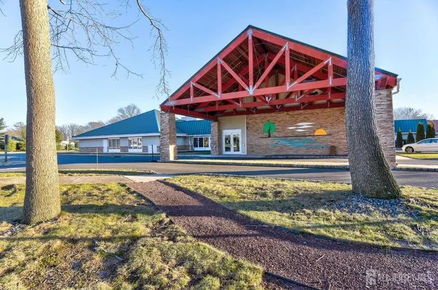 a view of a park with large trees