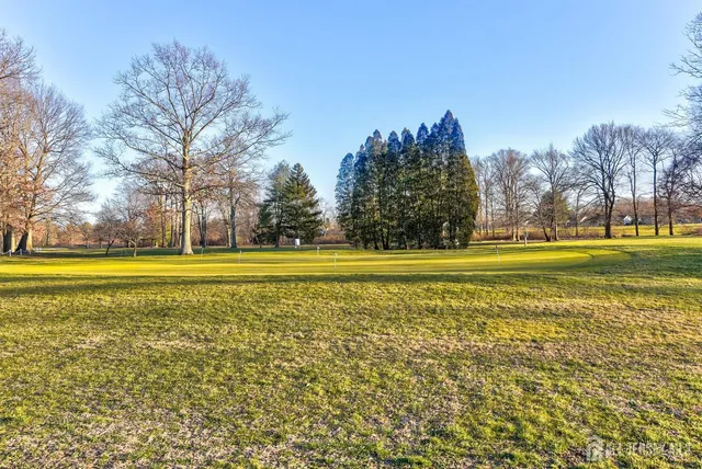 a view of outdoor space and barbecue grill