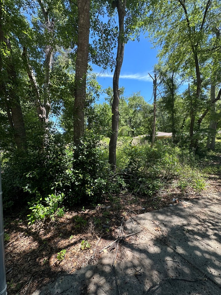 1301 Summit Street Dothan, AL 36301 - Photo 3 of 5