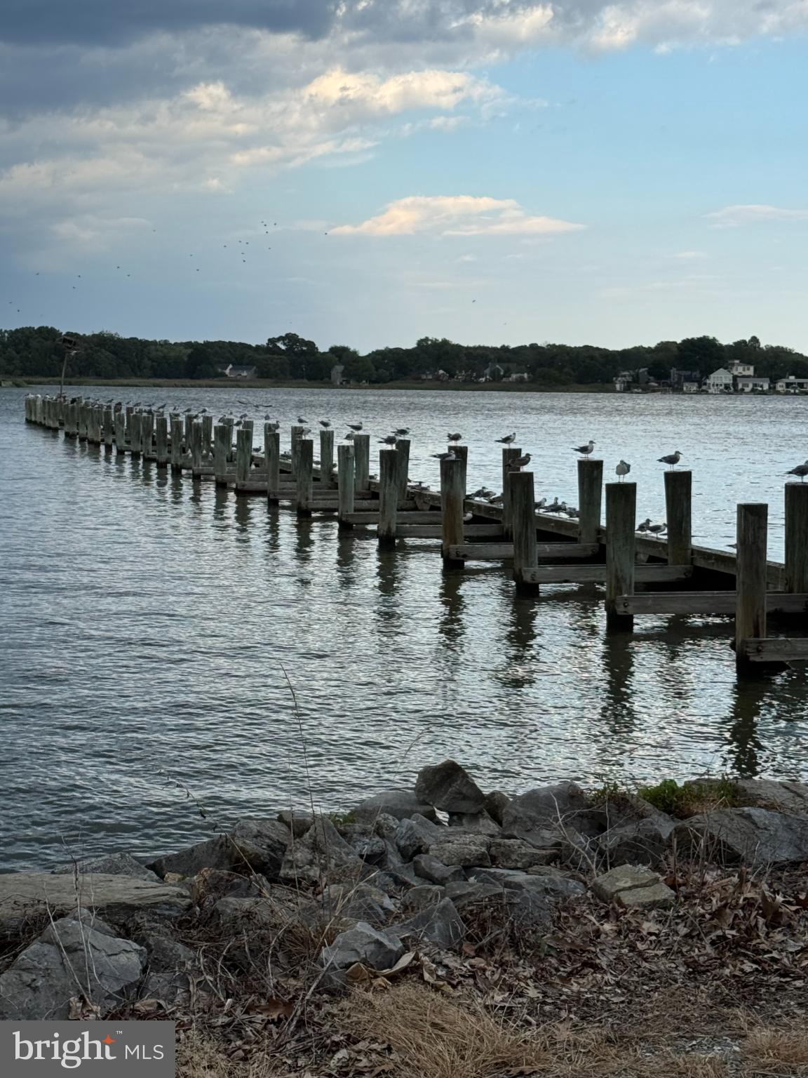 520 Ark Haven Road Tracys Landing, MD 20779 - Photo 8 of 34 Tranquil pier under a cloudy sky.