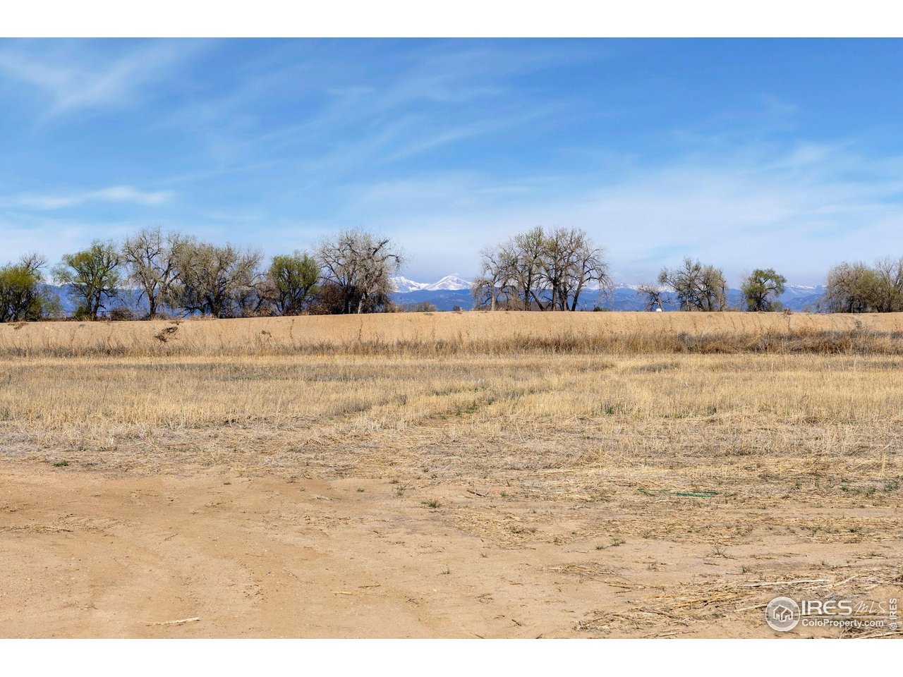15285 Ypsilon Circle Mead, CO 80542 - Photo 17 of 20