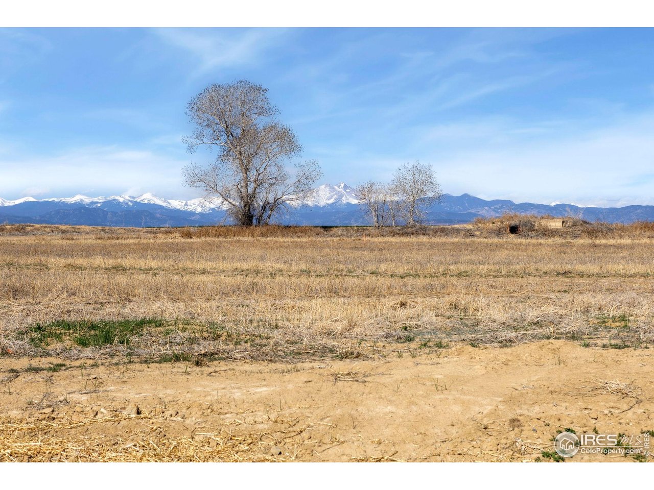 15285 Ypsilon Circle Mead, CO 80542 - Photo 7 of 20