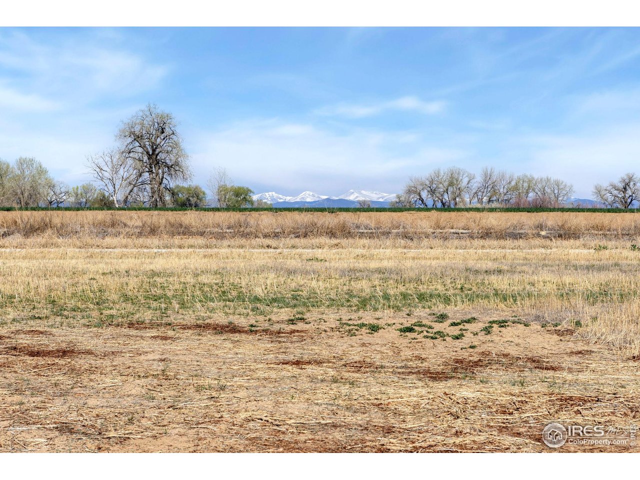 15285 Ypsilon Circle Mead, CO 80542 - Photo 8 of 20