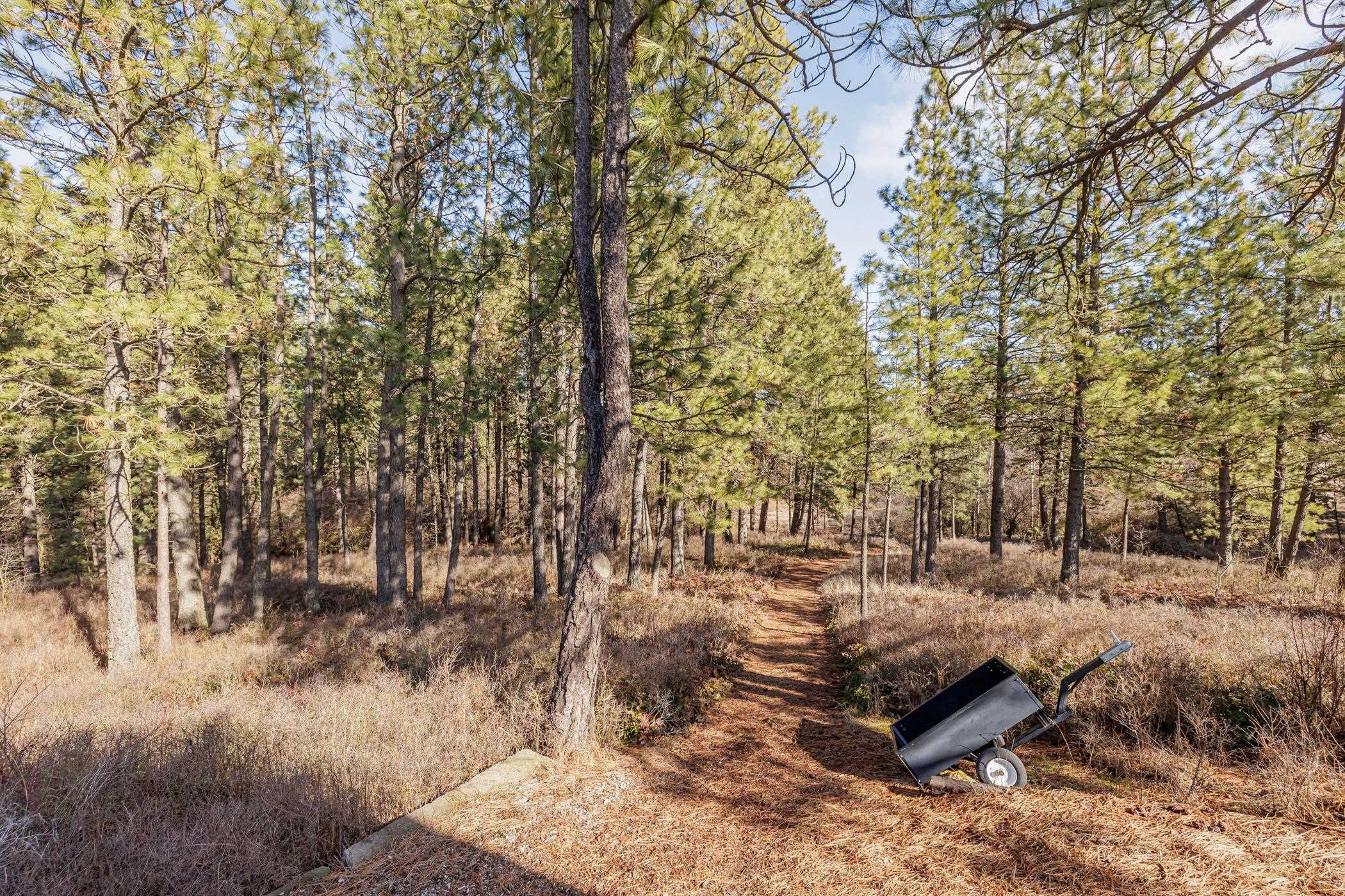 13909 South Marshall Road Valleyford, WA 99036 - Photo 21 of 46 Gallery Image 21