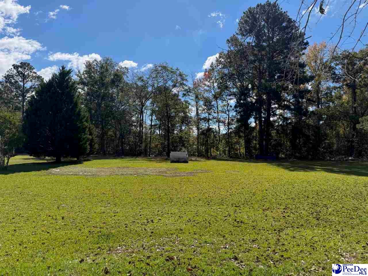 188 Hood Road Latta, SC 29565 - Photo 62 of 63 Gallery Image 62