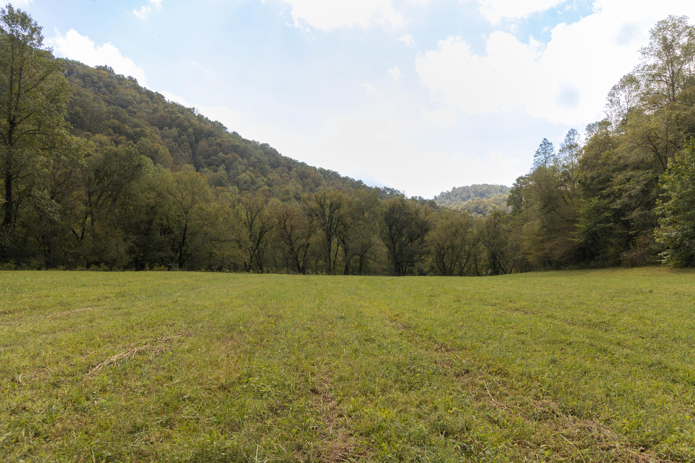 251 Everett Byrd Road Ricetown, KY 41364 - Photo 45 of 54 FO7A9270