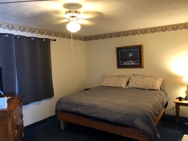 8205 Homestead Road Benzonia, MI 49616 - Photo 12 of 17 1870834-11.JPG