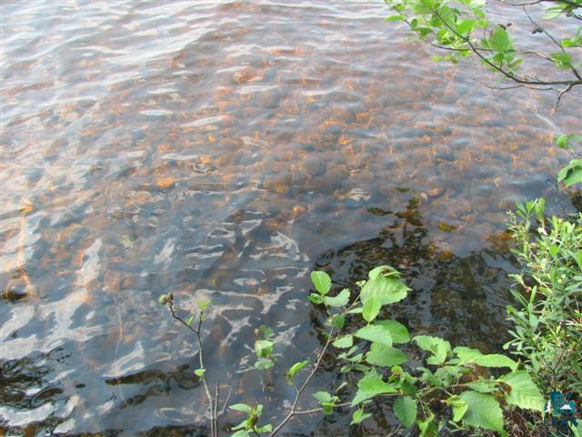 9183 Pequaywan Lake Road Duluth, MN 55803 - Photo 3 of 16 Sandy gravel lake bottom