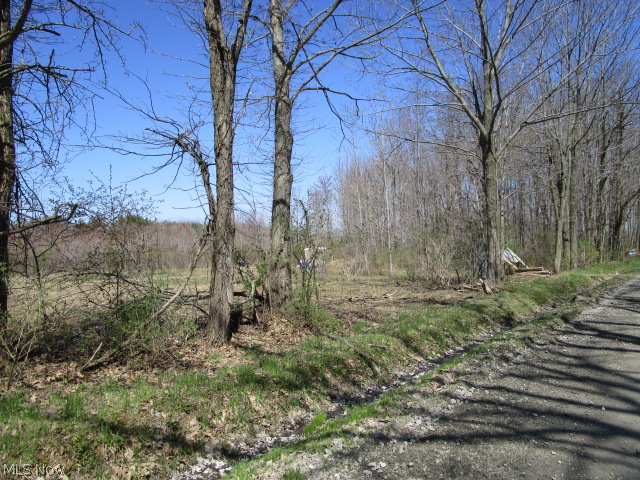 0 Moseley Road Thompson, OH 44086 - Photo 3 of 19