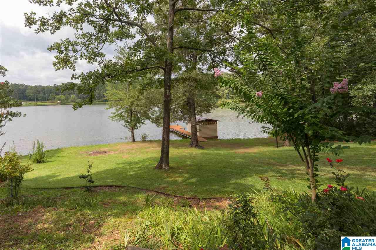 59 Lakeview Drive Oneonta, AL 35121 - Photo 40 of 49