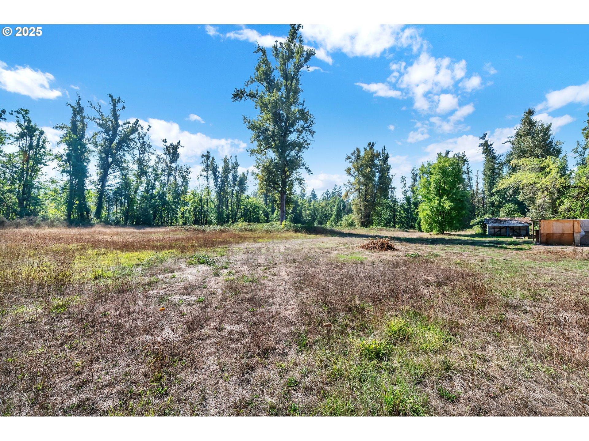 38286 Camp Creek Road Springfield, OR 97478 - Photo 38 of 48 a view of a backyard