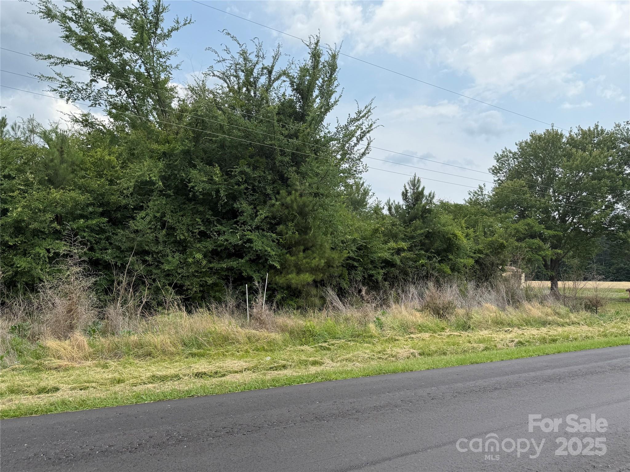 3802 Old Pageland Monroe Road Monroe, NC 28112 - Photo 9 of 9