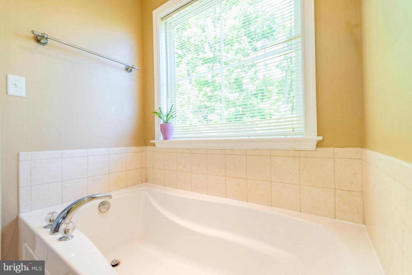 346 Old Oregon Road Front Royal, VA 22630 - Photo 21 of 30 Bath (Master)