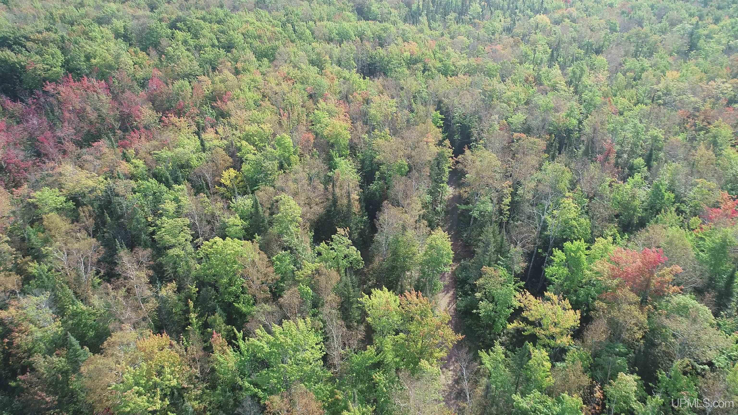 12-acres Lake Superior Point Road Deerton, MI 49822 - Photo 41 of 50