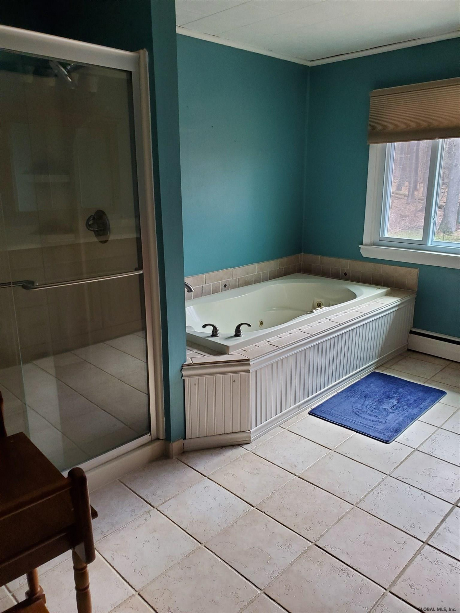 41 Wheeler Road Bethlehem, NY 12077 - Photo 12 of 16 Photo 12