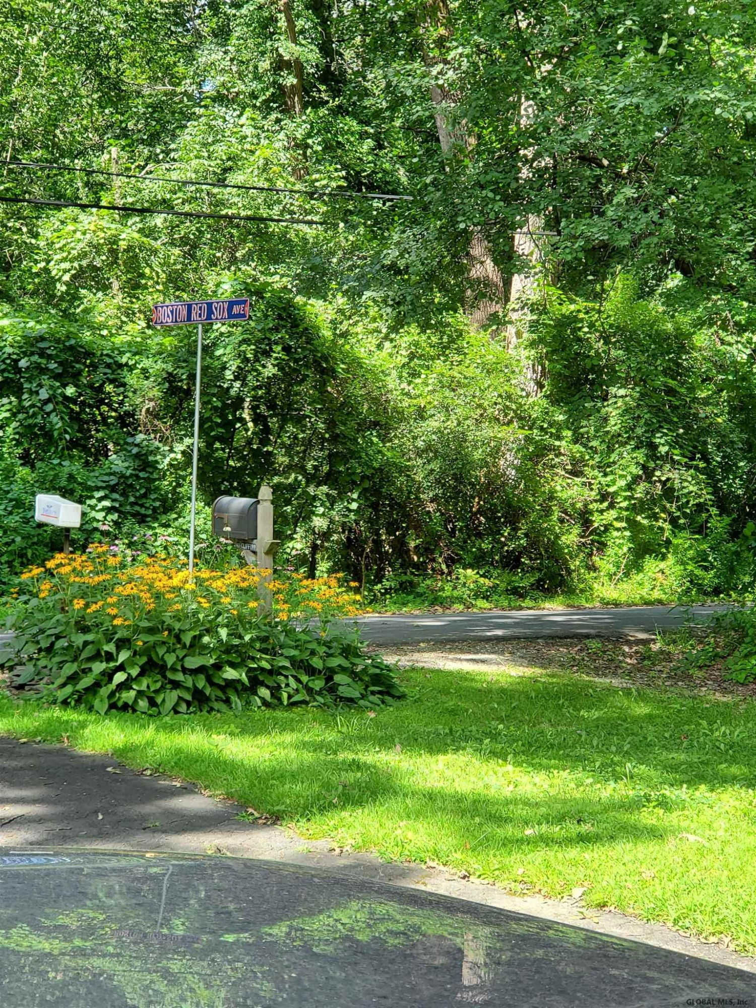41 Wheeler Road Bethlehem, NY 12077 - Photo 16 of 16 Photo 16