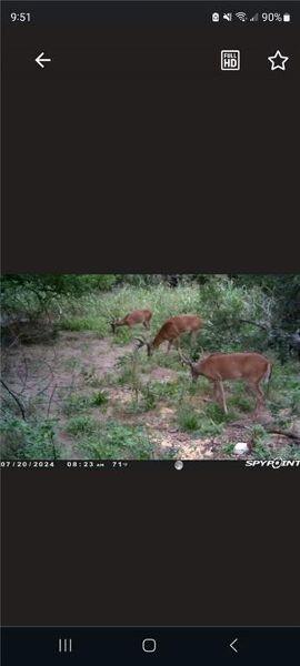 2000 Read Street Coffeyville, KS 67337 - Photo 3 of 3