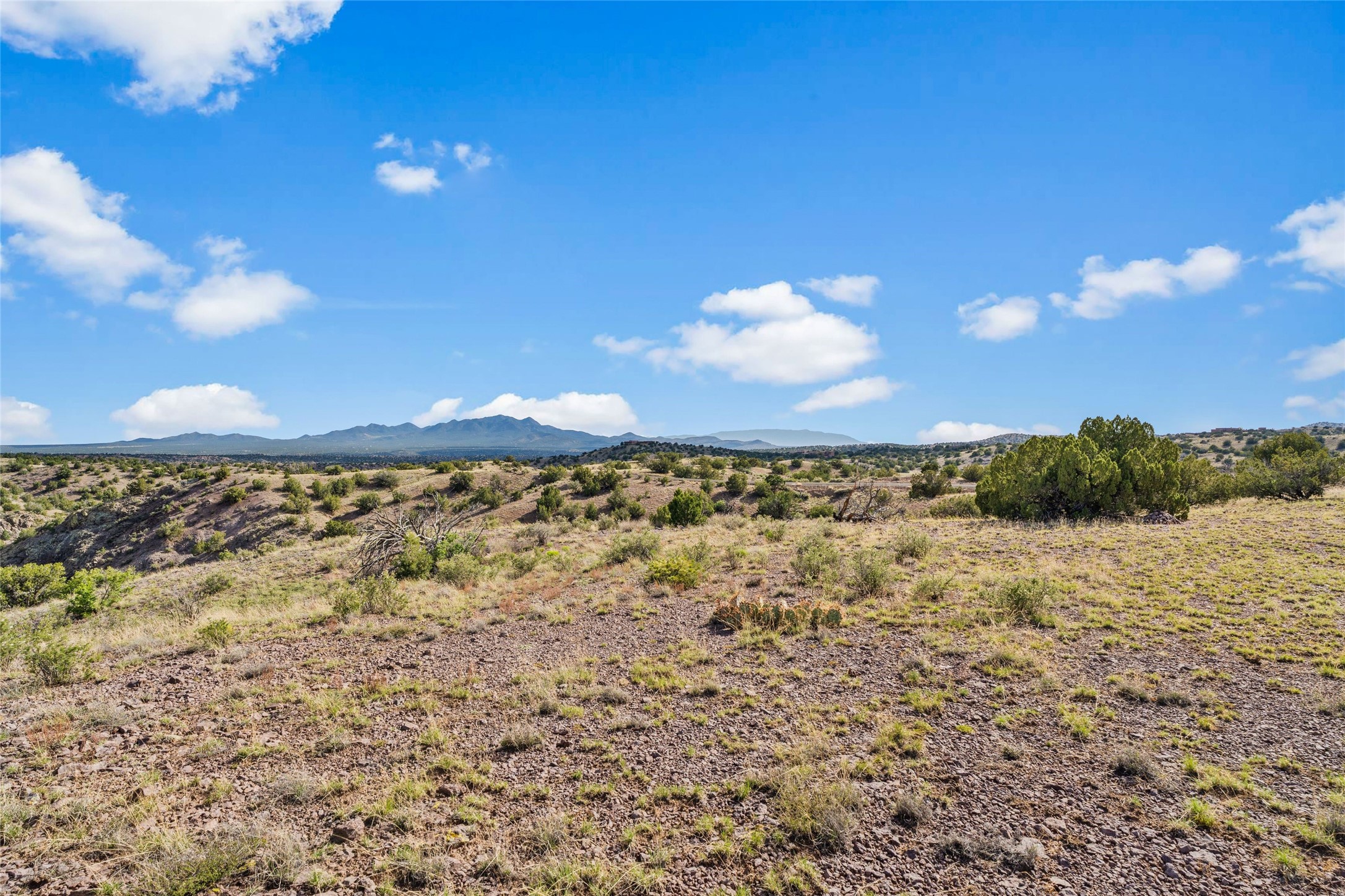 31 Gallina Road Santa Fe, NM 87508 - Photo 9 of 19