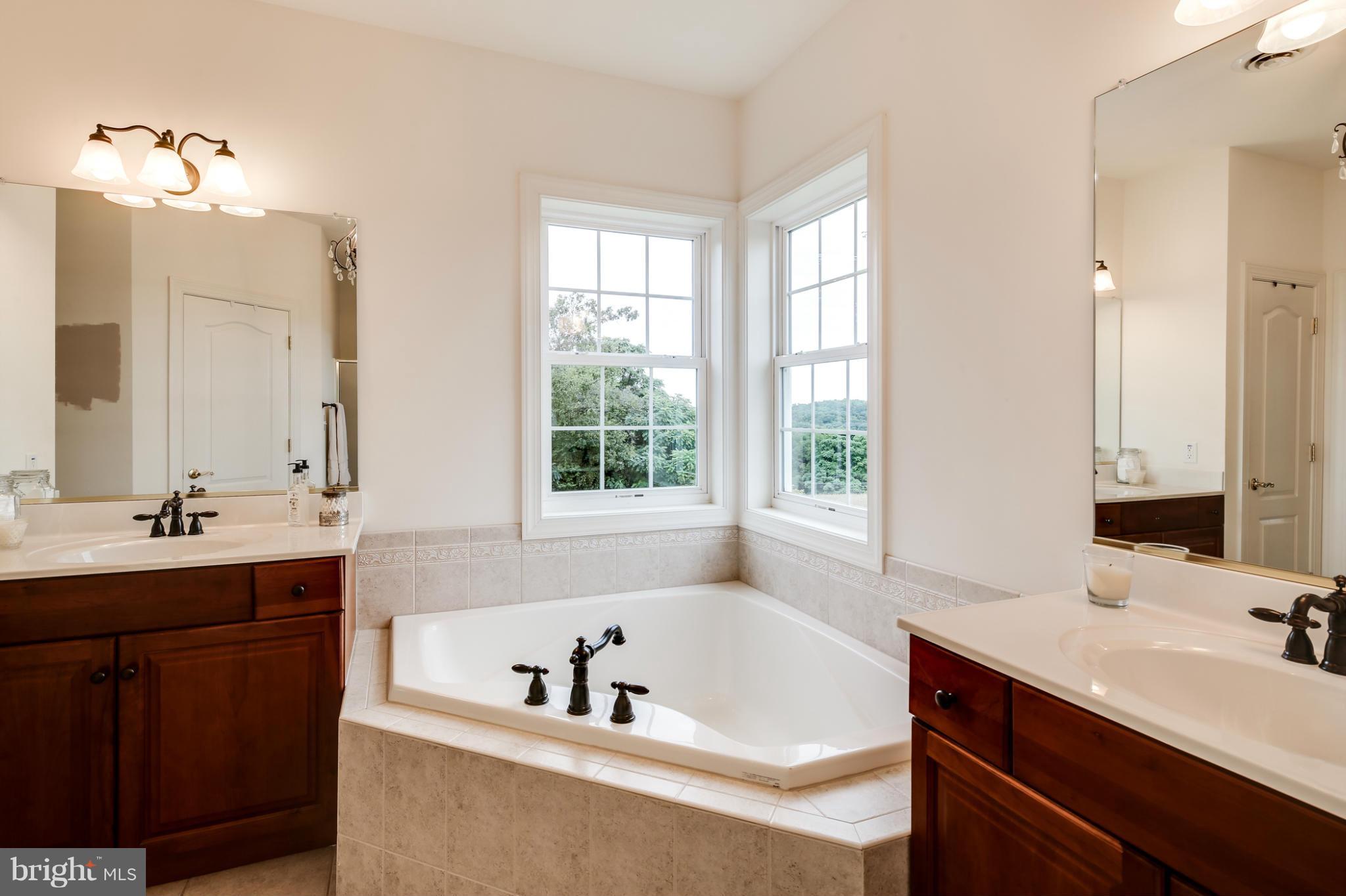3065 Hooper Road New Windsor, MD 21776 - Photo 19 of 30 Bath (Master)