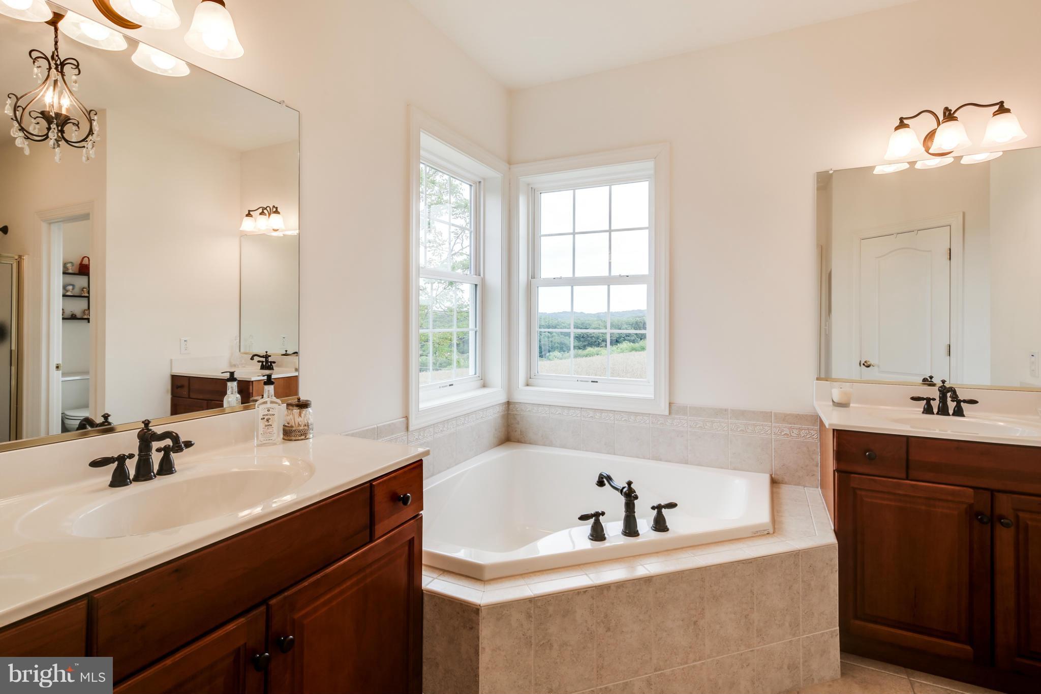 3065 Hooper Road New Windsor, MD 21776 - Photo 20 of 30 Bath (Master)