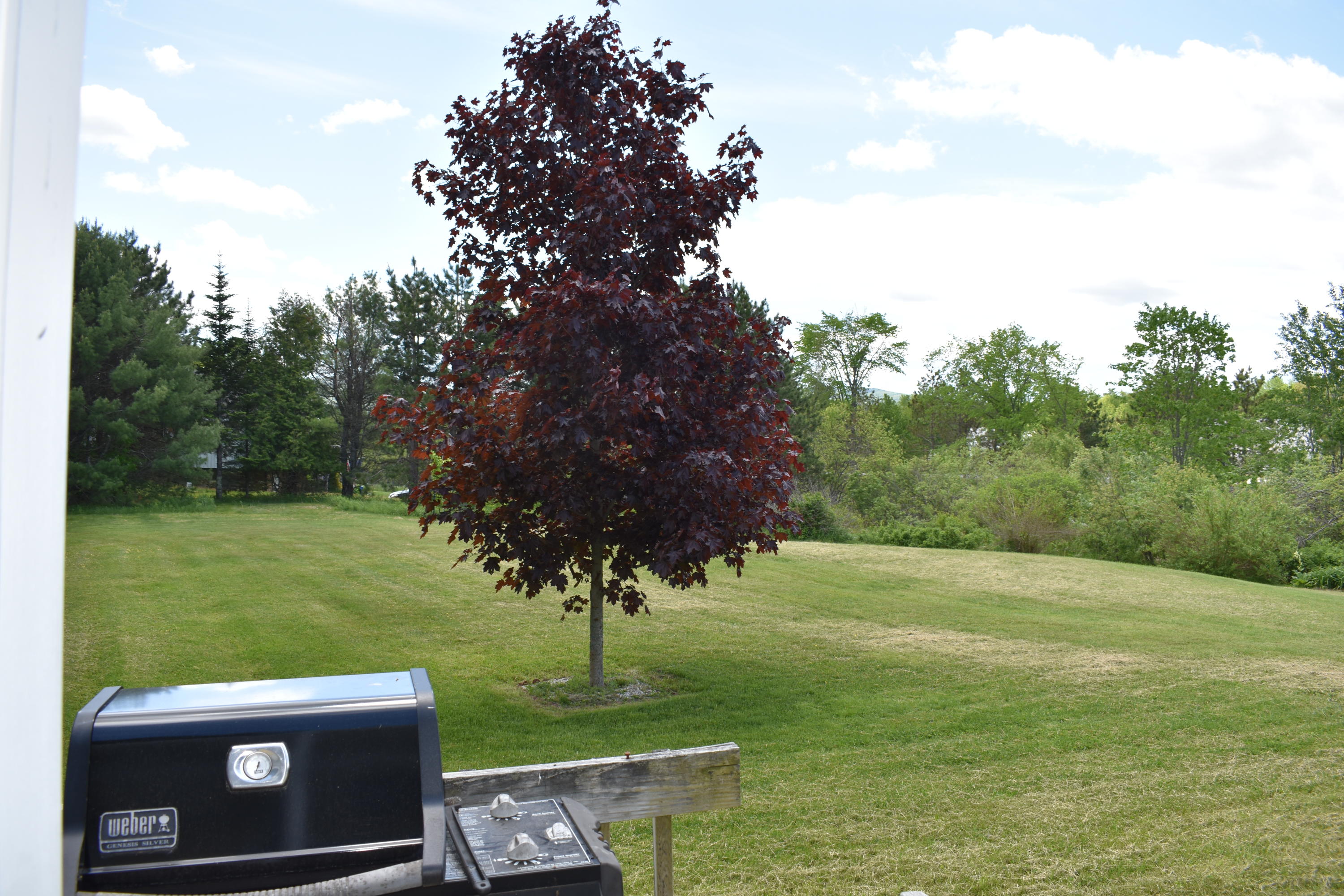 2499 Belfast Road Lincolnville, ME 04849 - Photo 27 of 52 DSC_0942