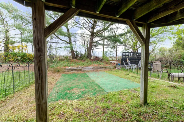a view of backyard with tree