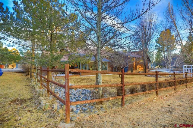 a view of a yard with trees