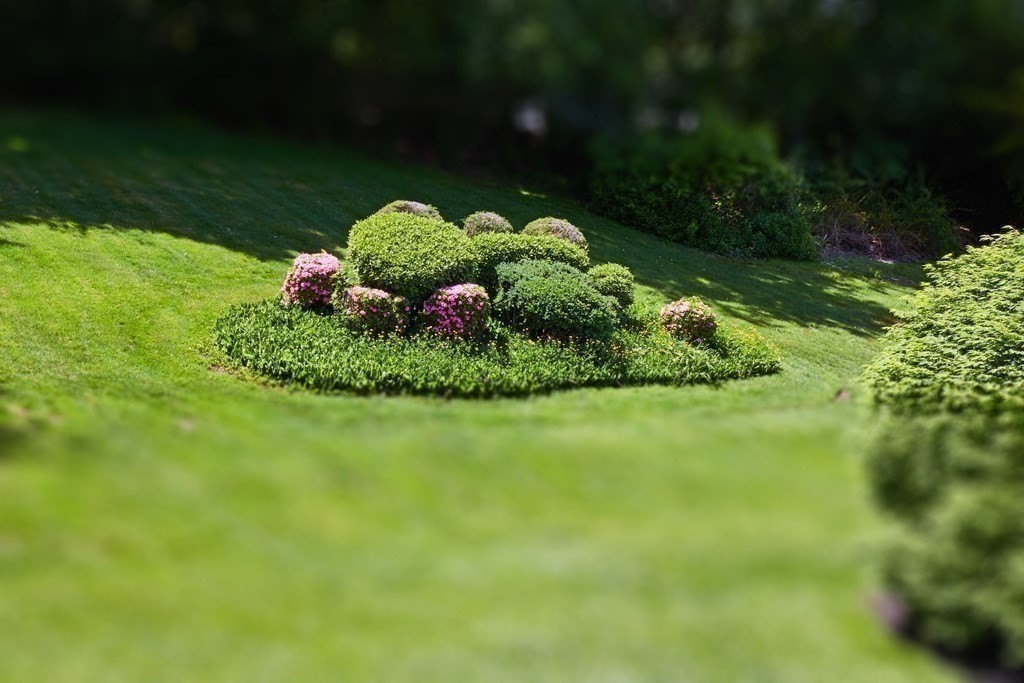 43 Ridgewood Road Milton, MA 02186 - Photo 32 of 32 Gallery Image 32