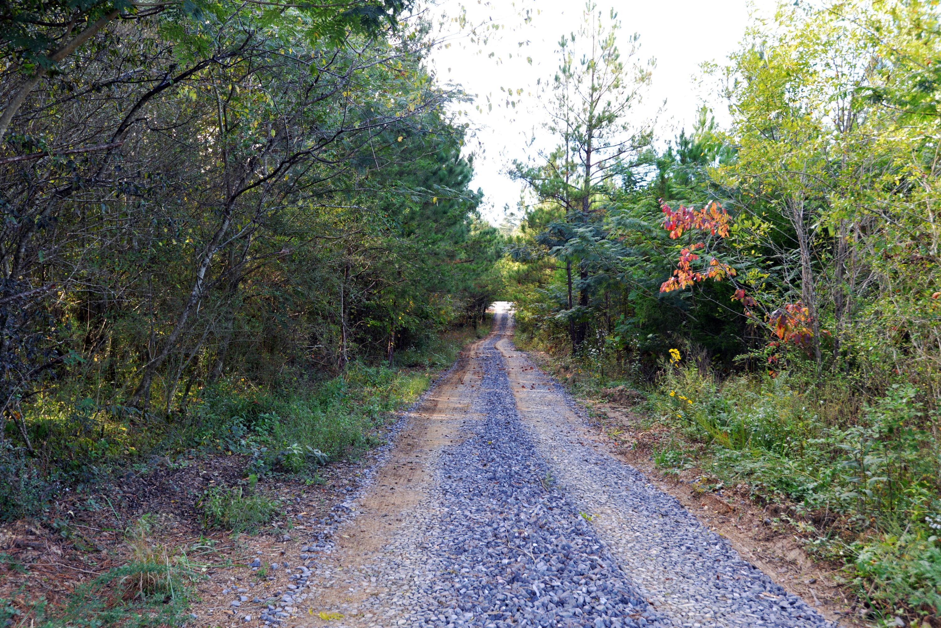 165 Mull Road Benton, TN 37307 - Photo 2 of 26 Driveway (entering) (med)