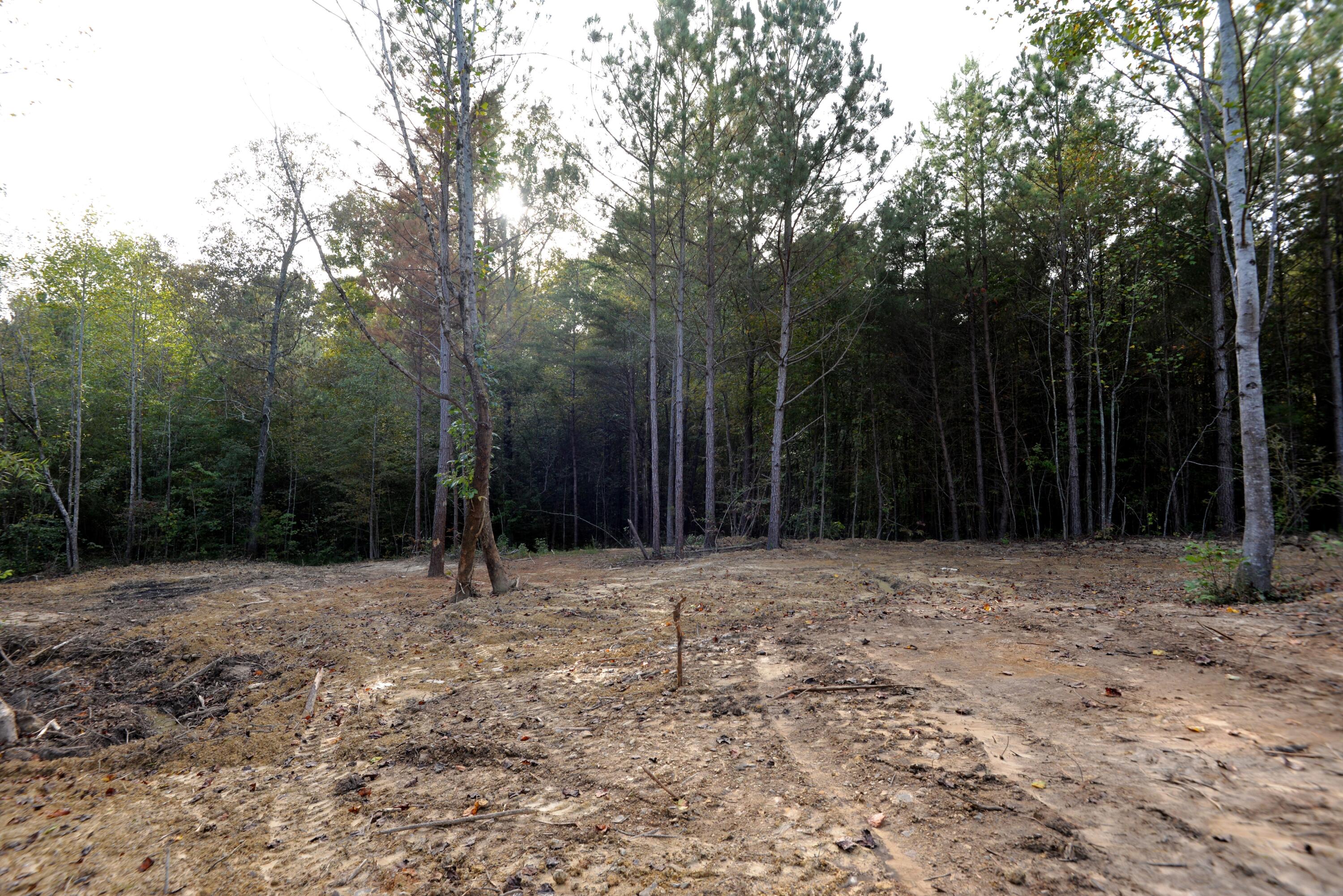165 Mull Road Benton, TN 37307 - Photo 22 of 26 Front clearing from porch 1 (med)
