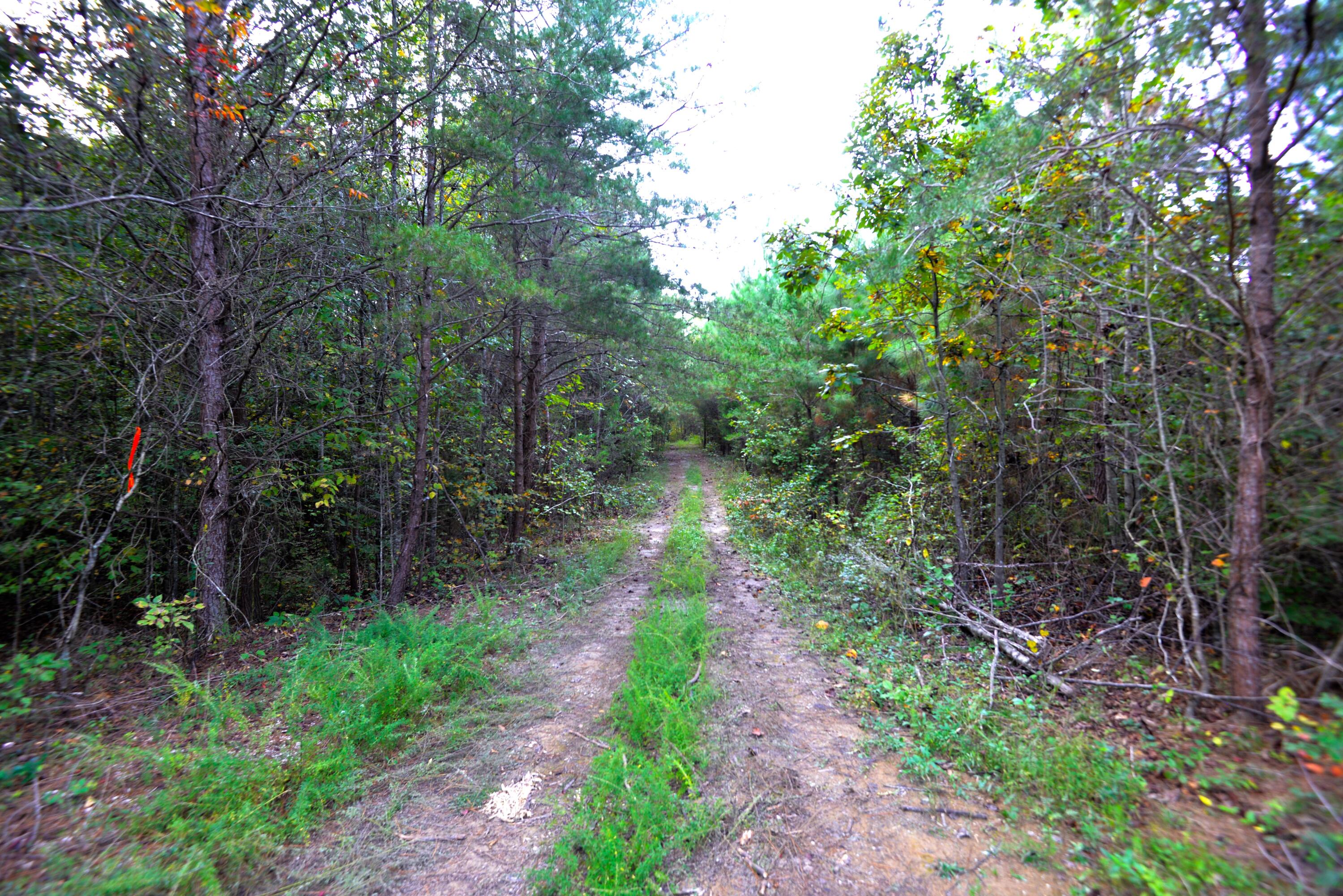 165 Mull Road Benton, TN 37307 - Photo 23 of 26 Driveway to rear of property (med)