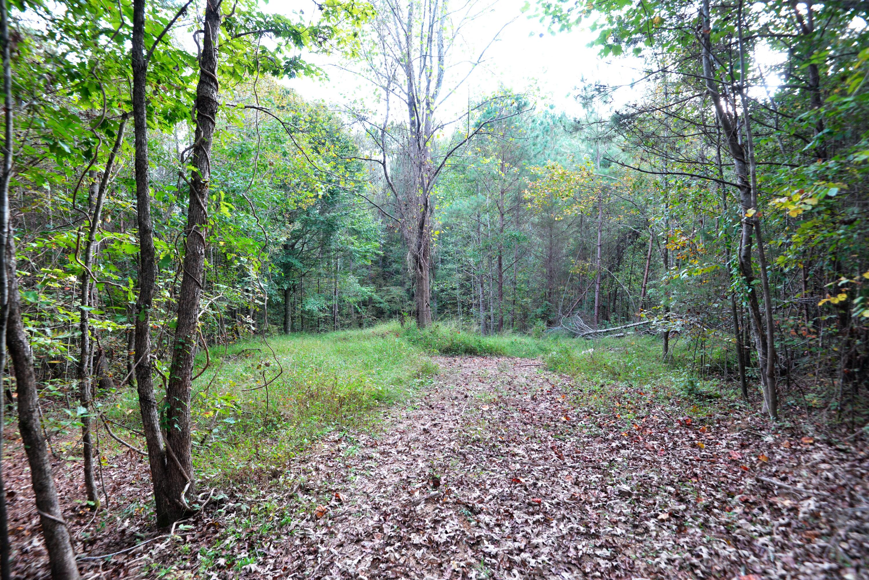 165 Mull Road Benton, TN 37307 - Photo 24 of 26 Clearing beyond cabin (med)
