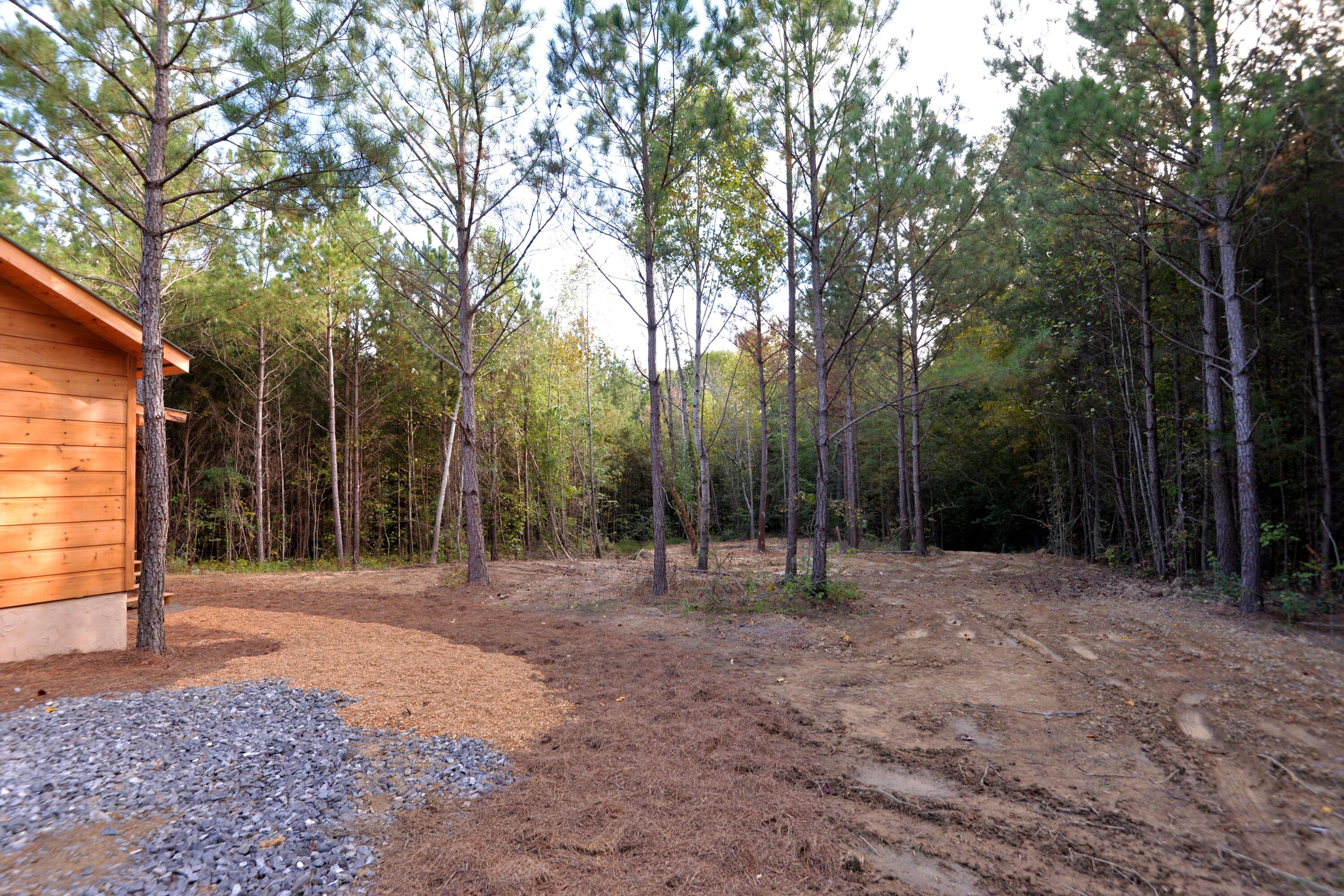 165 Mull Road Benton, TN 37307 - Photo 5 of 26 Front clearing from right (med)