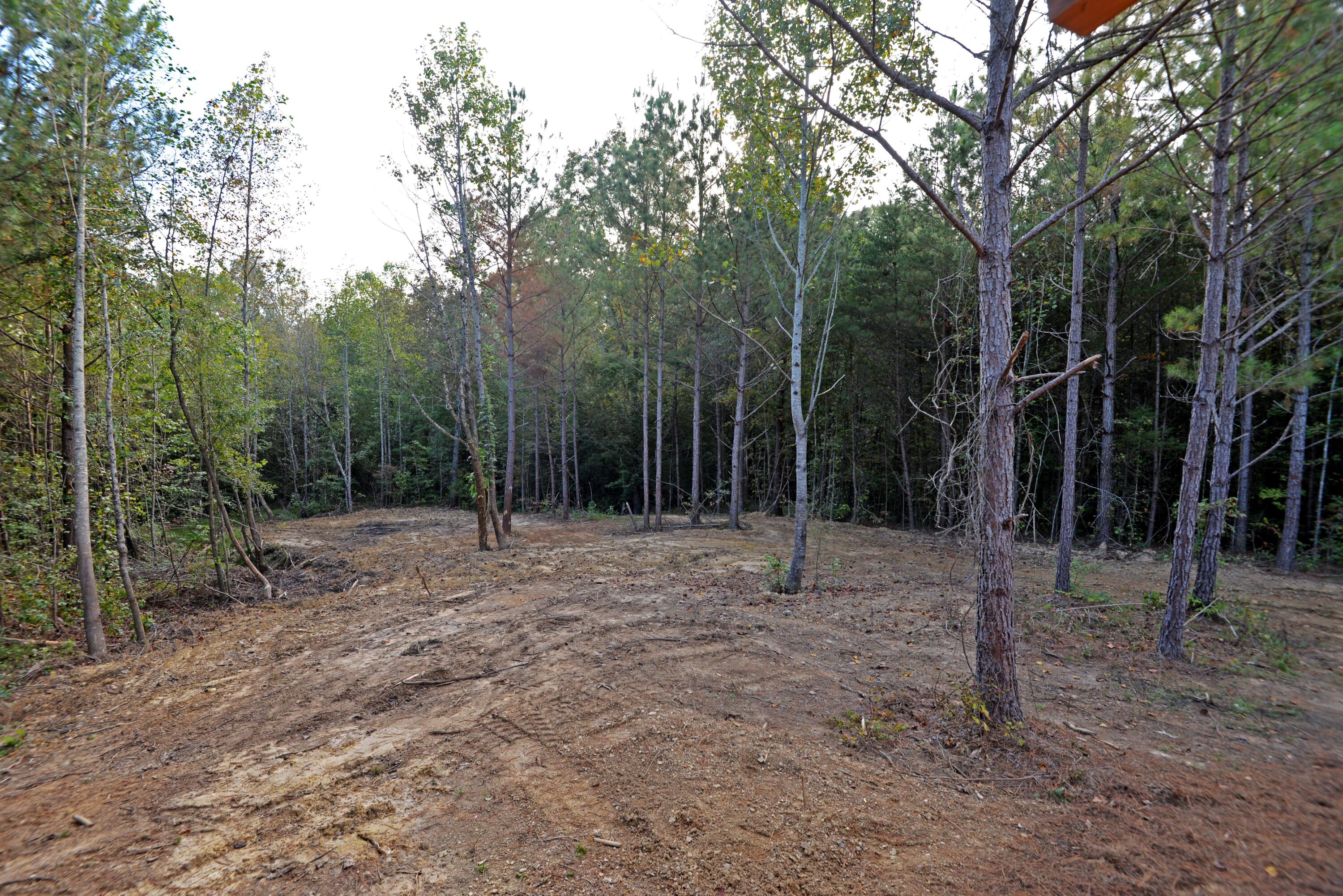 165 Mull Road Benton, TN 37307 - Photo 9 of 26 Covered front porch view (med)