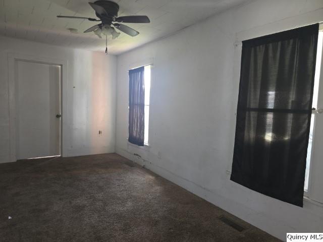 65 East 3rd Street Dallas City, IL 62330 - Photo 6 of 21