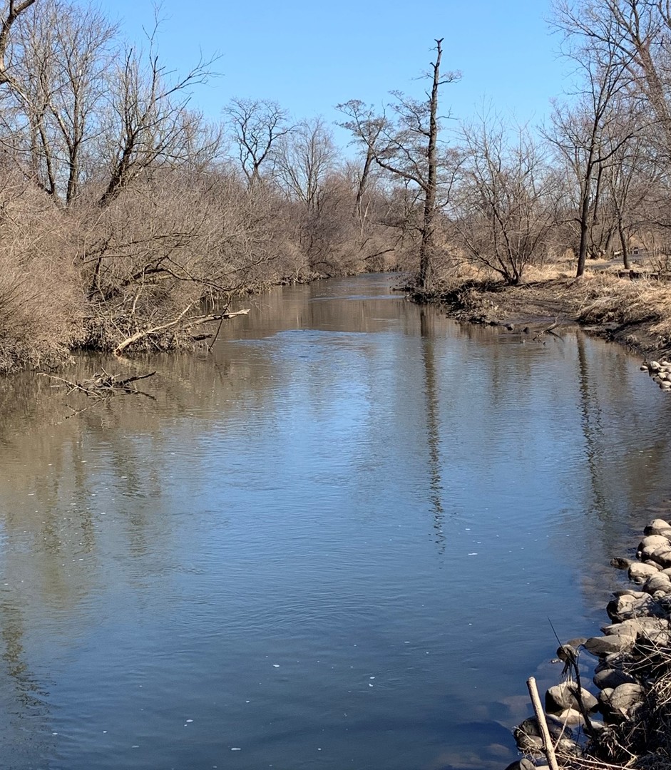 11 Roanoke Court Bolingbrook, IL 60440 - Photo 28 of 29