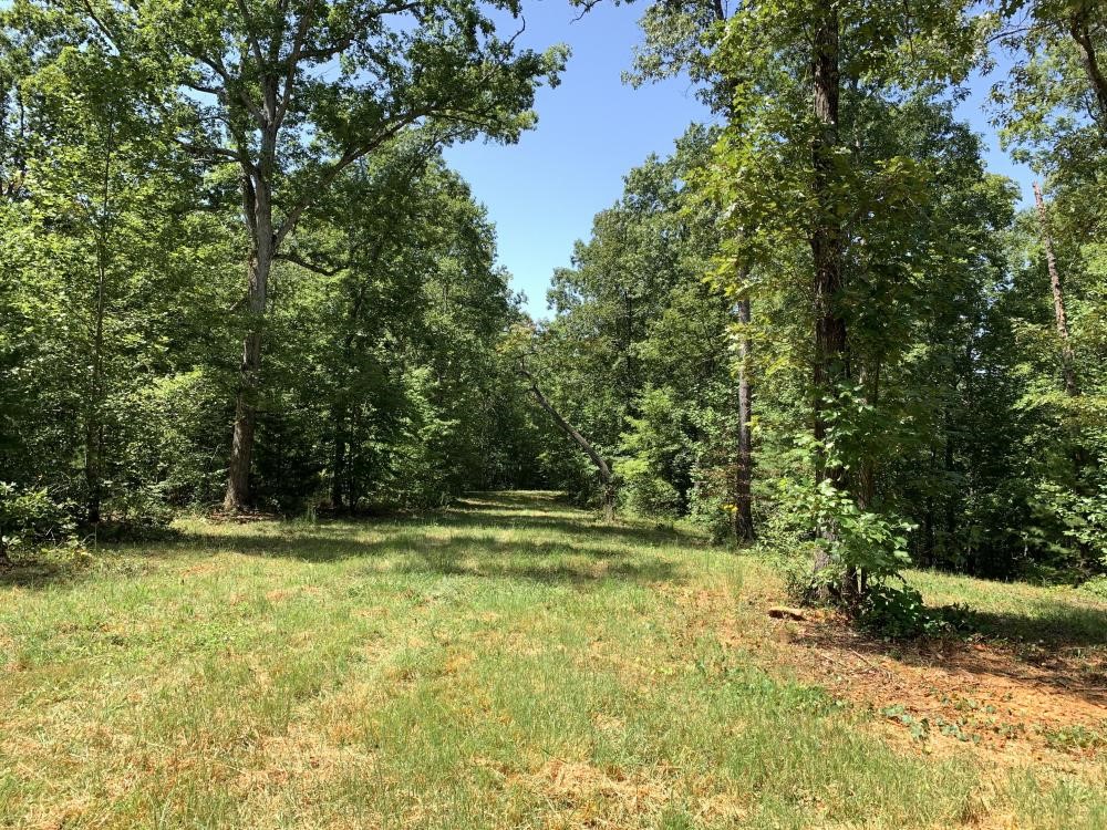 0 Fox Squirrel Ridge Road Pickens, SC 29671 - Photo 20 of 33