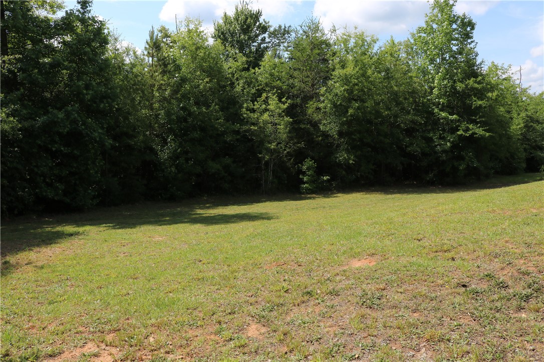 12123 Friendship Loop Drive Seneca, SC 29678 - Photo 39 of 39 Gallery Image 39