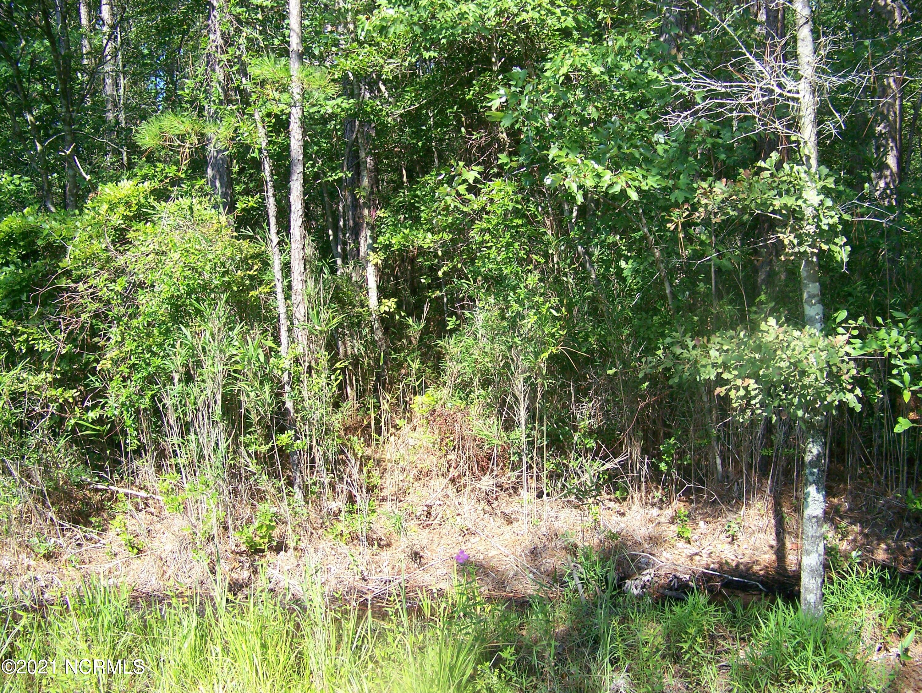 771 East Boiling Spring Road Southport, NC 28461 - Photo 1 of 1 wooded